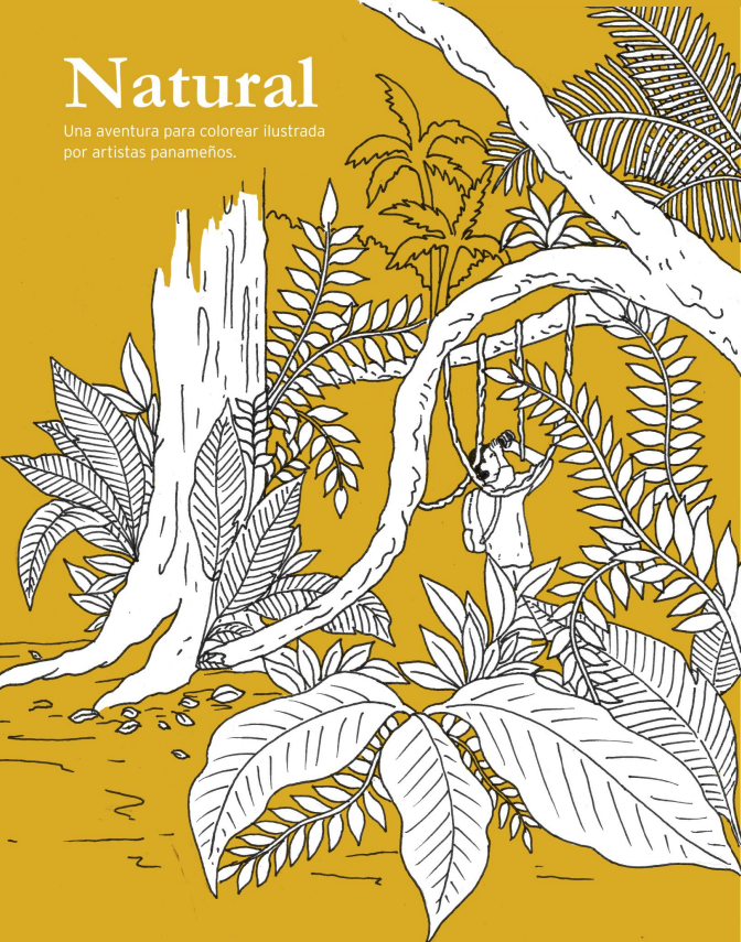 No hay una imagen disponible